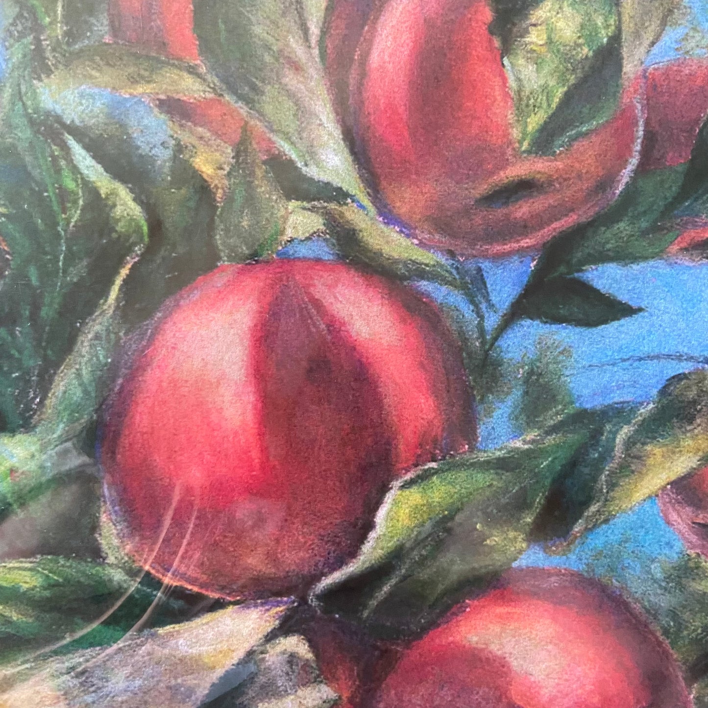 A close-up look at one of the apples in the painting. The shadow of a leaf shows off its round shape in the sunlight well. The look of a pastel painting is shown at this close-up level, grainy and vibrant.