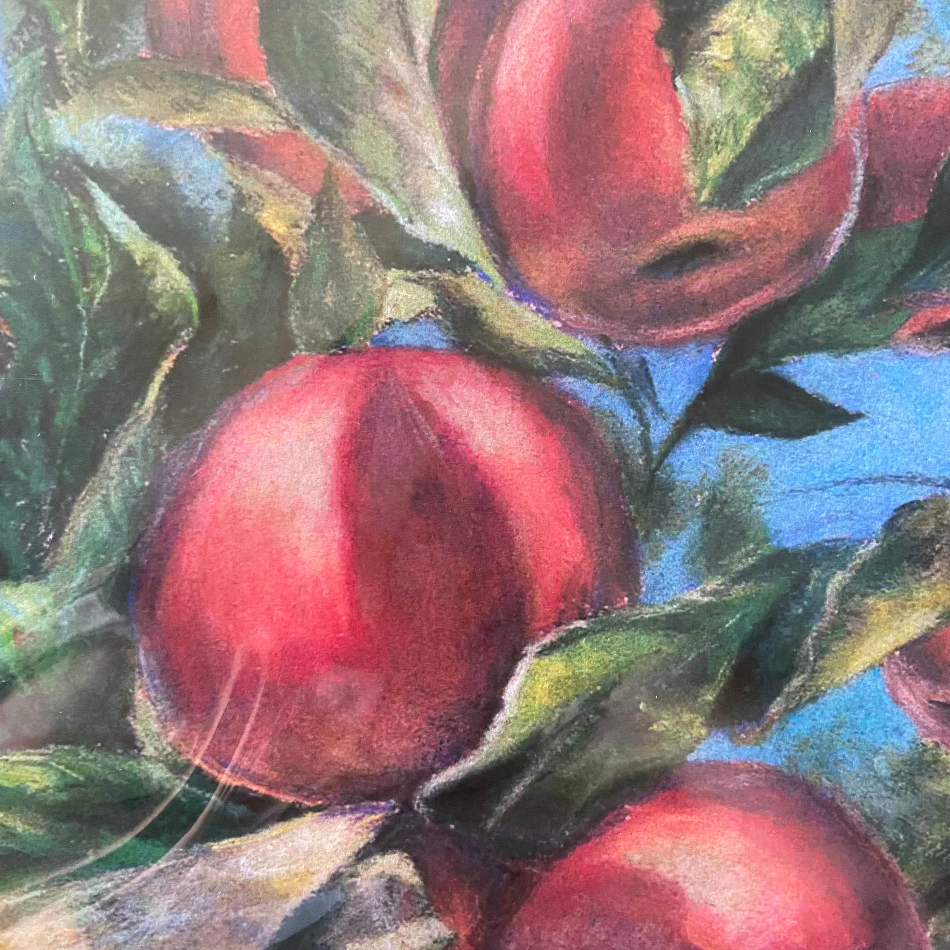 A close-up look at one of the apples in the painting. The shadow of a leaf shows off its round shape in the sunlight well. The look of a pastel painting is shown at this close-up level, grainy and vibrant.