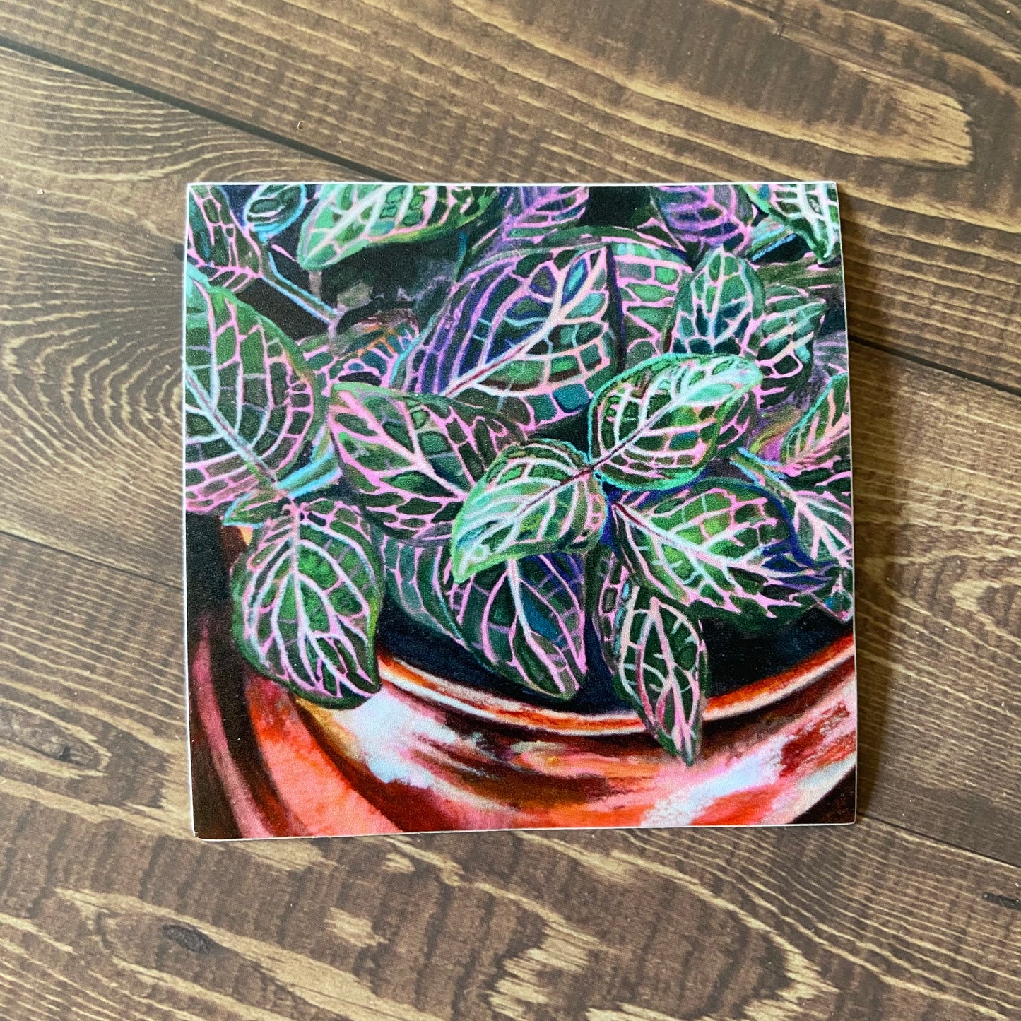 A square sticker of a mixed media painted variegated houseplant. The sticker shows a potted pink nerve plant with painted and pencil details in the vibrant leaves. The sticker is full bleed printed and is sitting on a wooden surface.