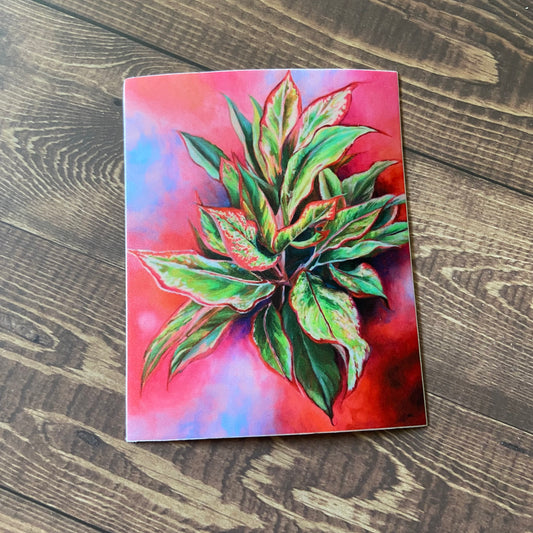 A pink rectangular sticker on a wooden surface. The decal shows a painted green, white, and red variegated houseplant on a pink cloudy background. The sticker is full bleed printed and quite vibrant.