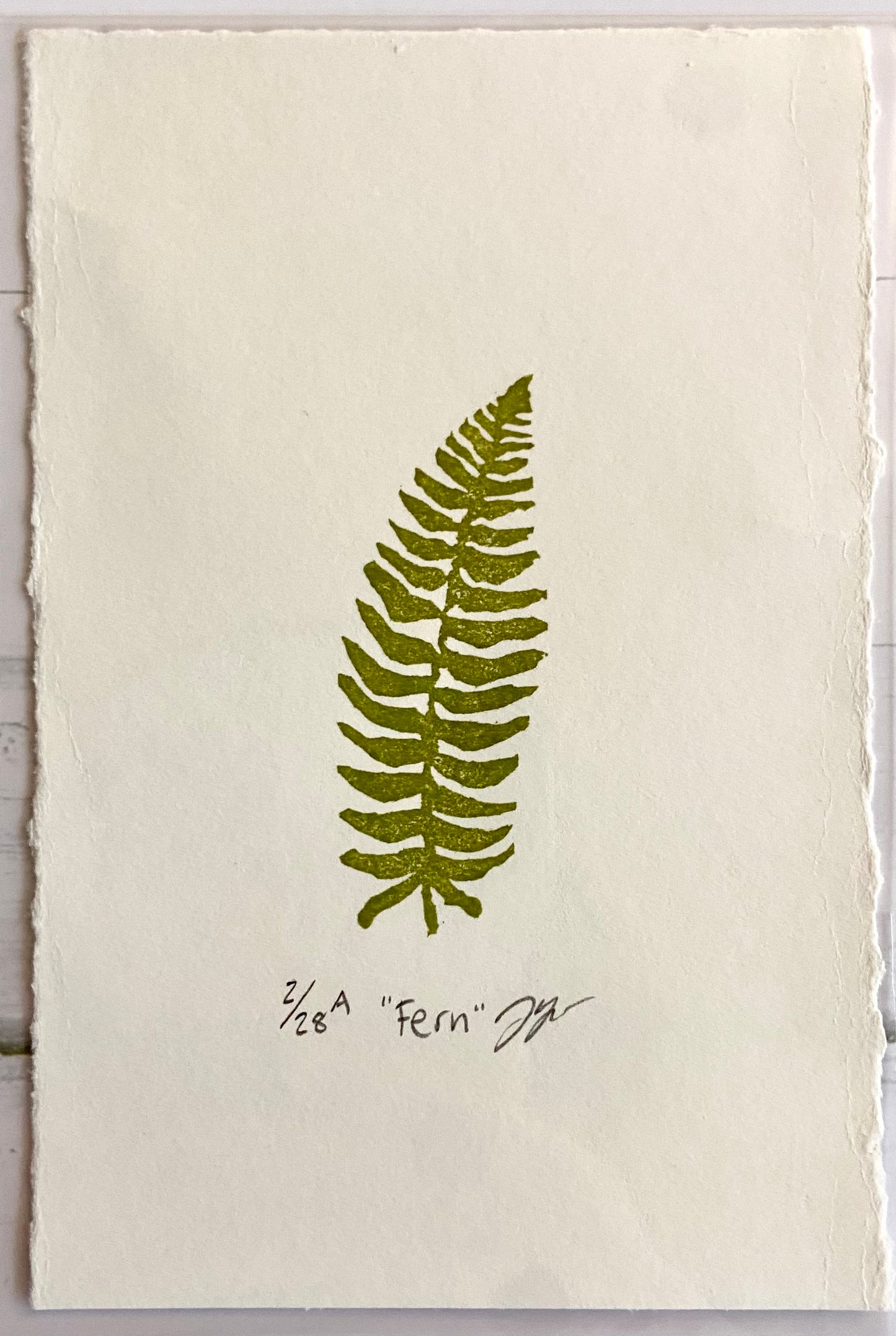 A small olive-green stamped image of a fern plant tilted slightly to the right. Eraser prints are made by carving pink erasers and stamping. The artwork is titled "Fern", signed, and editioned.