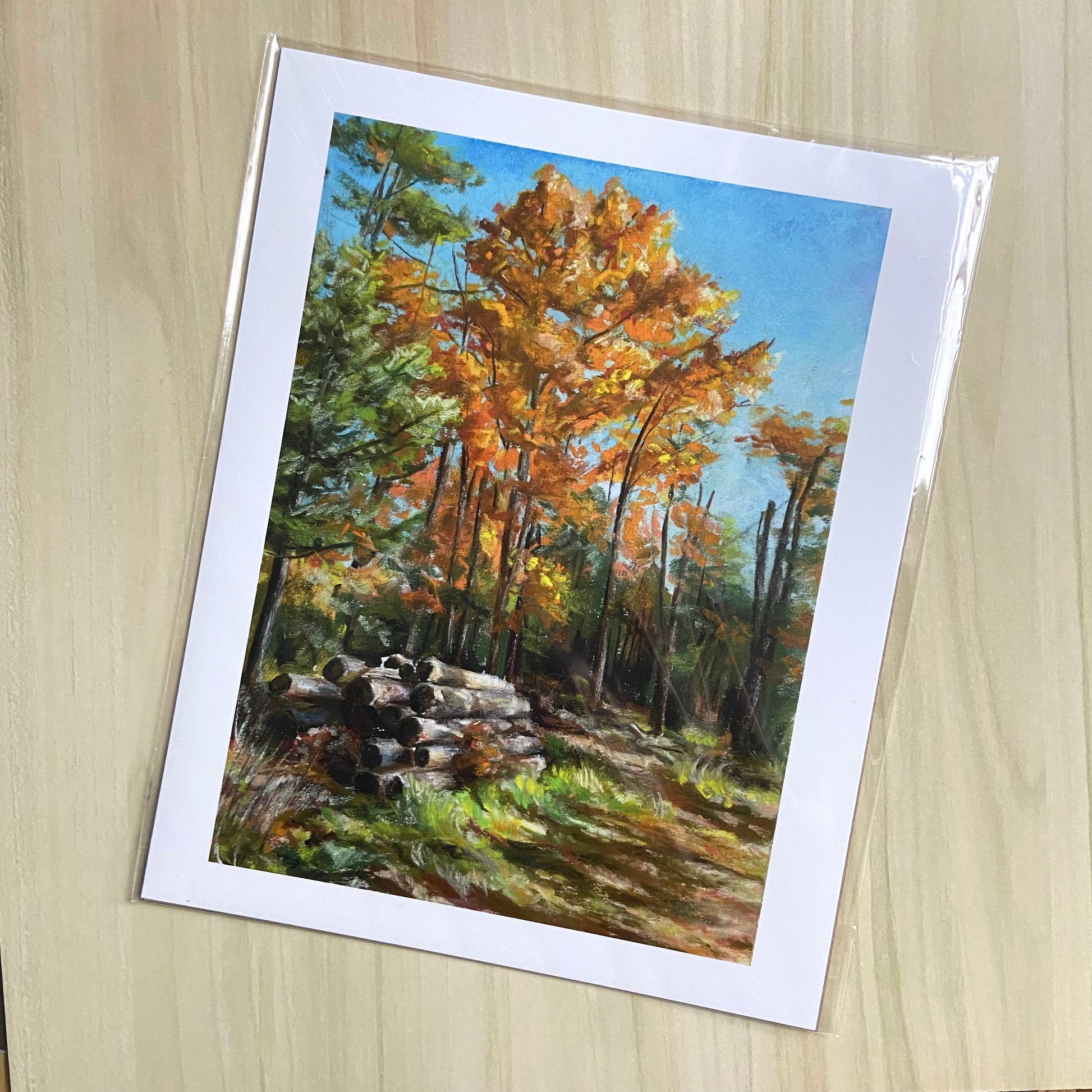 A landscape art print with a white border on all four edges. The focus are several orange-leaved maples, surrounded by pines and dead stands, and there are stacked cut logs at the ground in front. Blue sky and sunlight indicate a warm fall day.