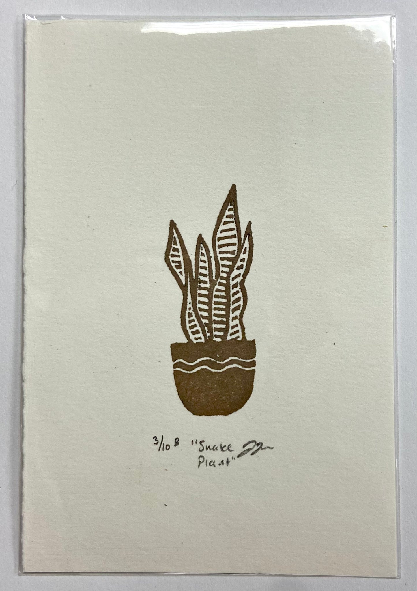 Eraser Print: Snake Plant
