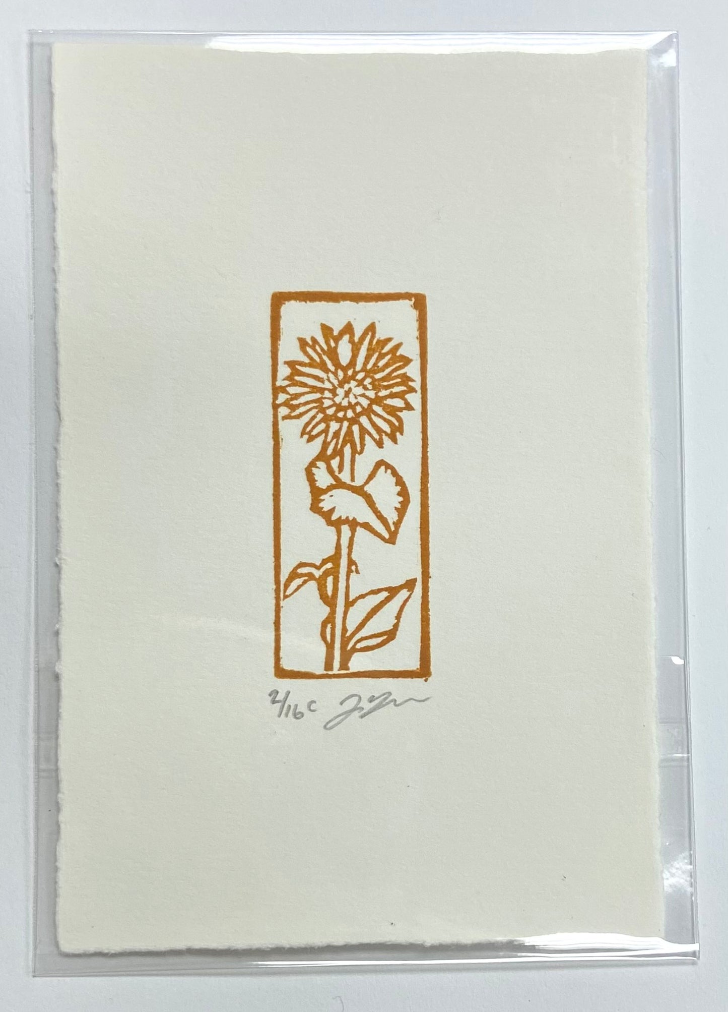 "Sunflower" Floral Eraser Print