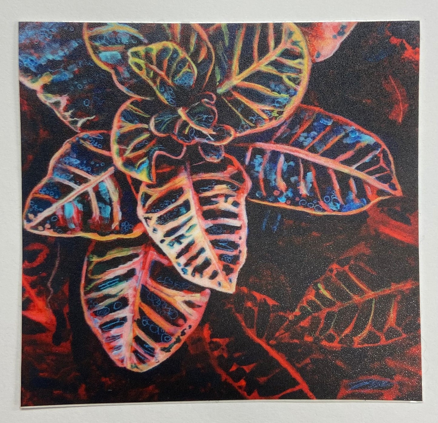 "Out of Darkness" Croton Plant Sticker