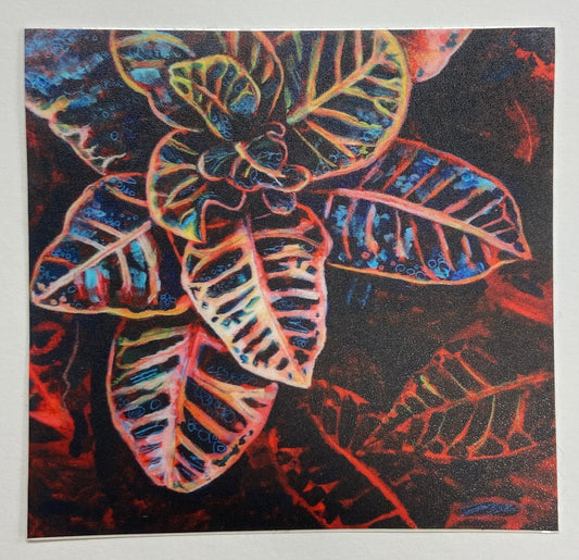 "Out of Darkness" Croton Plant Sticker