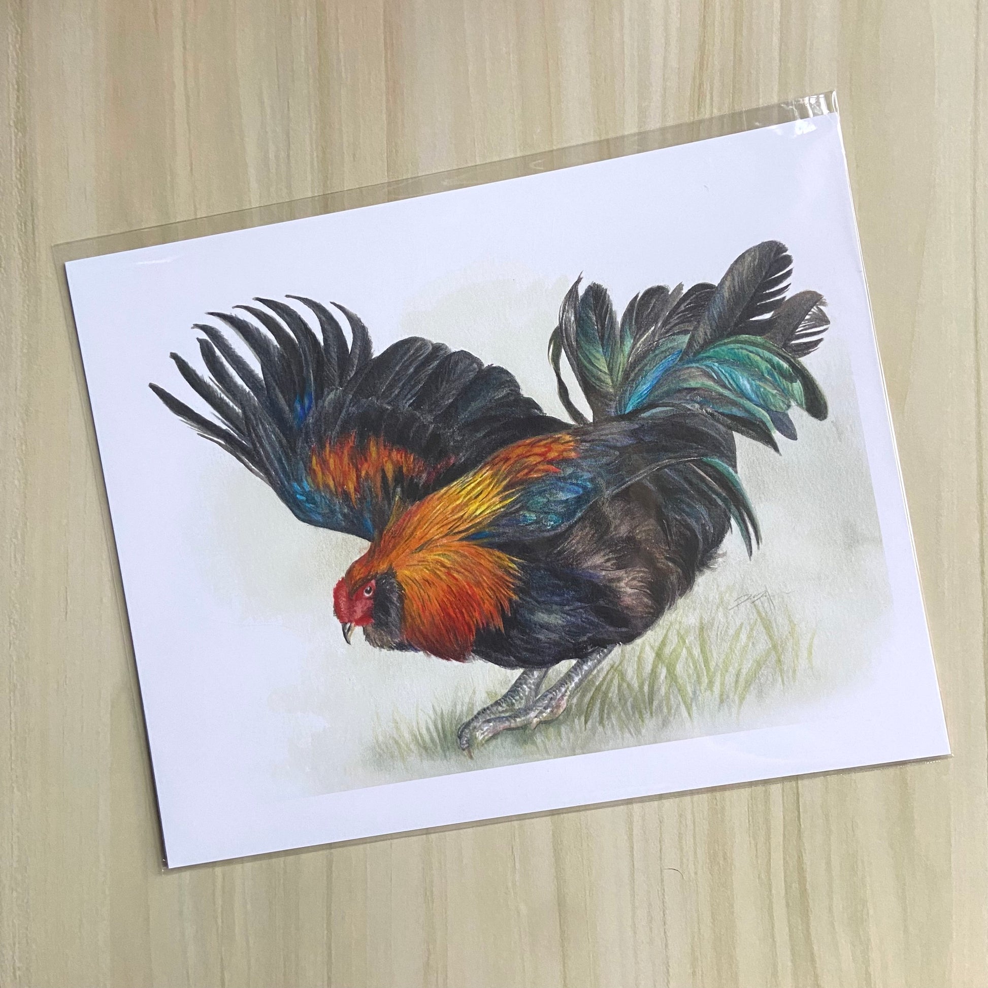 An art print of a beautiful rooster painting with watercolor. The bird is posed with one wing extended in front of a white background with grass at his feet. The chicken has black feathers, accented with vibrant orange, blue and teal colors.