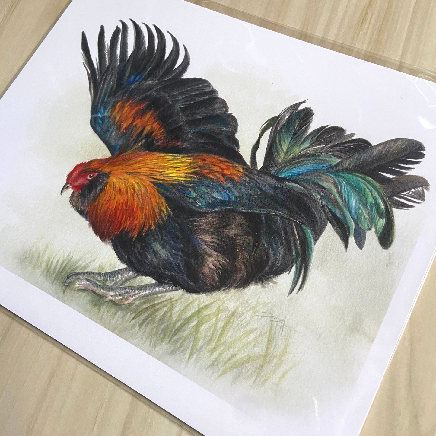 A detail view of the watercolor print. The rooster, in front of paper white background, has delicate and colorful feather details. He squats slightly with one wing extended and his tail feathers up. The print has a slight border of white.