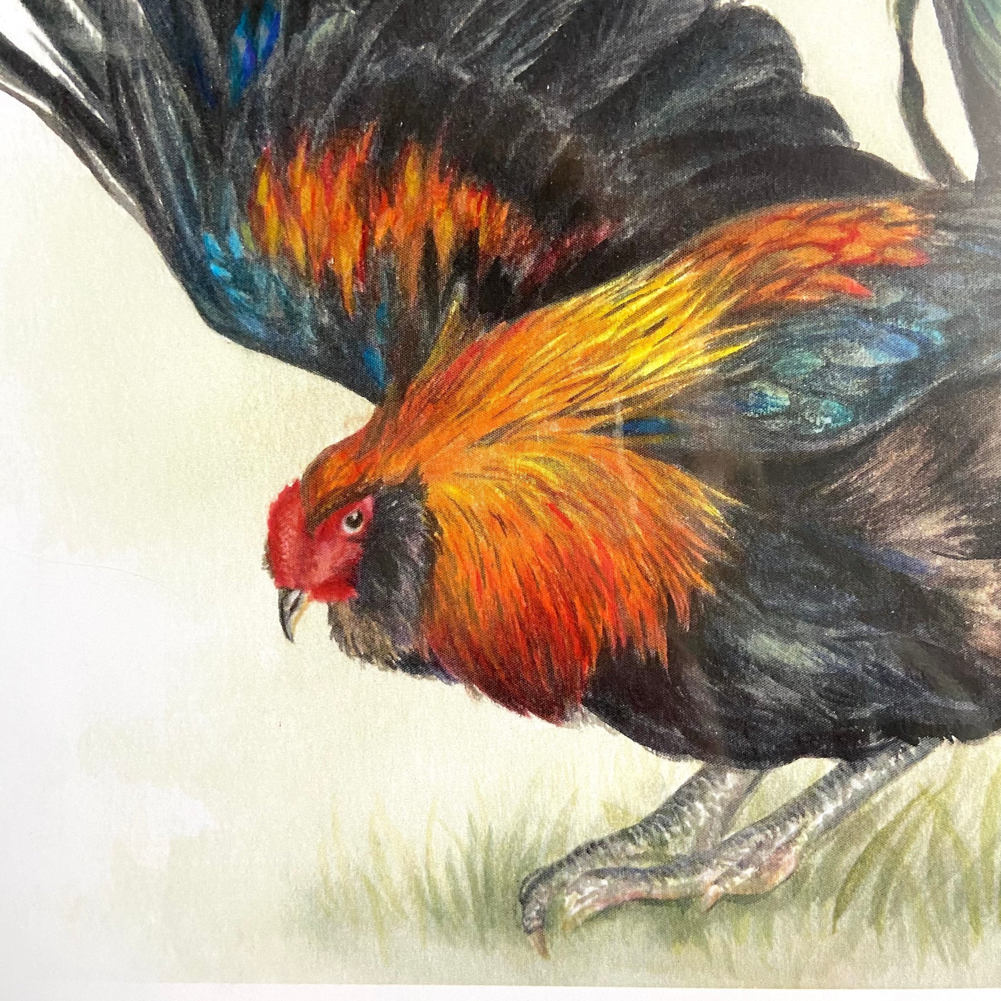 A close-up look at the art print. Individual paint strokes can be seen in the chicken's feathers, showing both the watercolor quality and the textured details captured in the rooster's image. Shown is his expressive face and vibrant neck feathers.