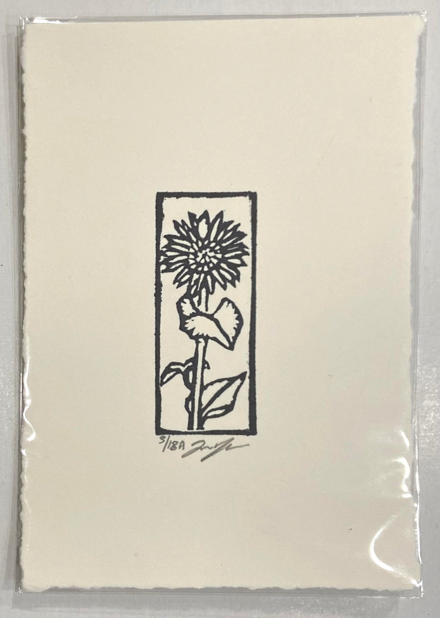 A black and white relief print of a sunflower, emphasizing outlines for form in the way of stained glass. The print is made by hand using a carved eraser and is numbered and signed.