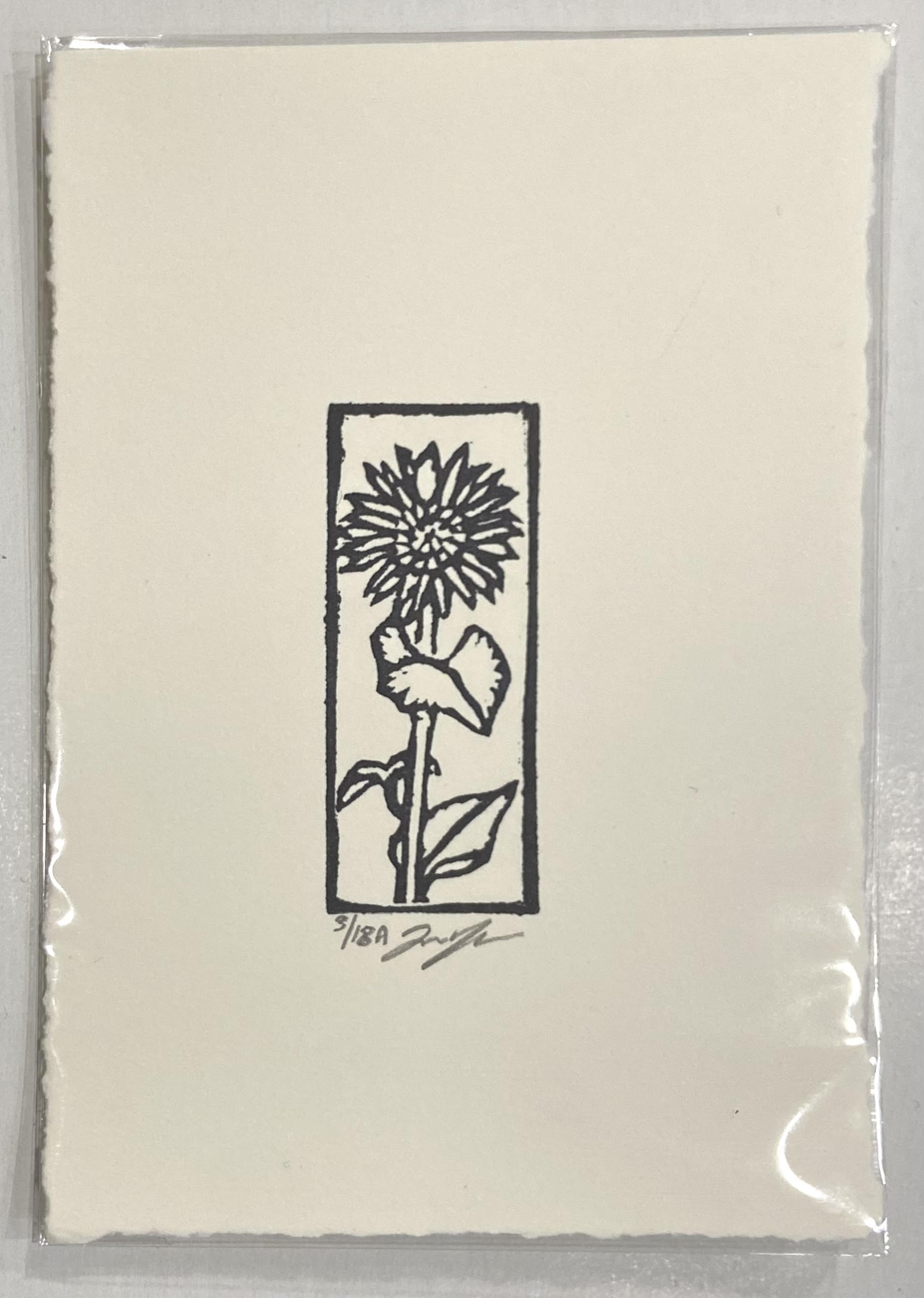 A black and white relief print of a sunflower, emphasizing outlines for form in the way of stained glass. The print is made by hand using a carved eraser and is numbered and signed.