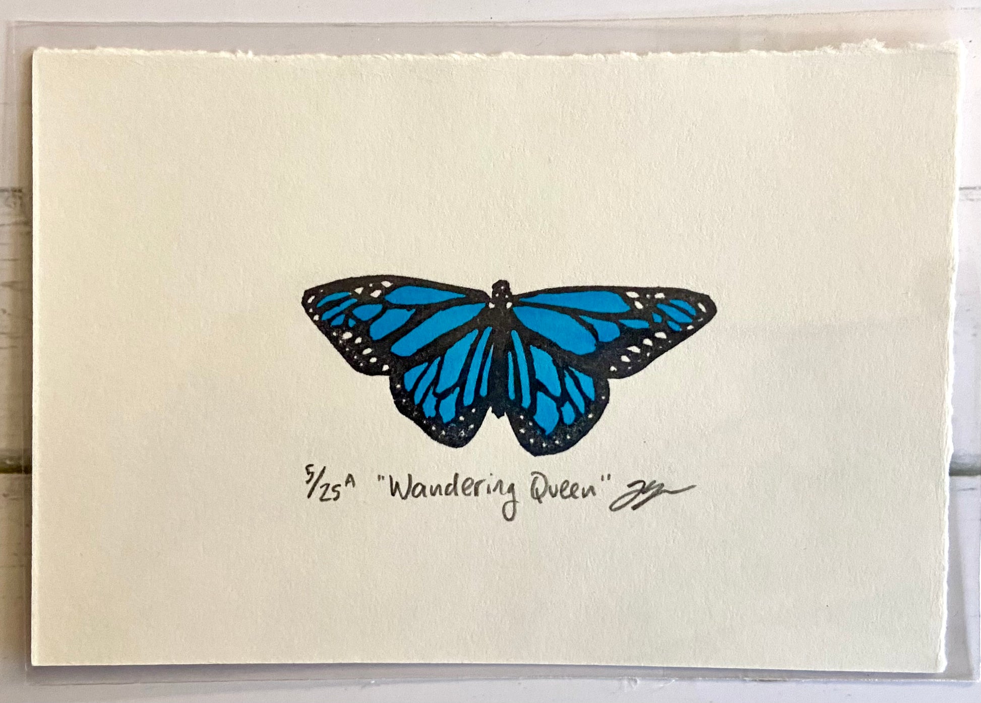 A handmade print of a monarch butterfly with blue coloration. Eraser prints are made by carving pink erasers and stamping them. This one was stamped in black and colored in with blue. The print is titled "Wandering Queen", signed and editioned.