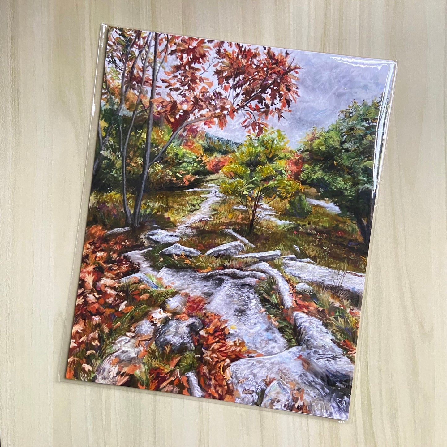 "Looking Back: Mt. Rowe" Print, 8x10