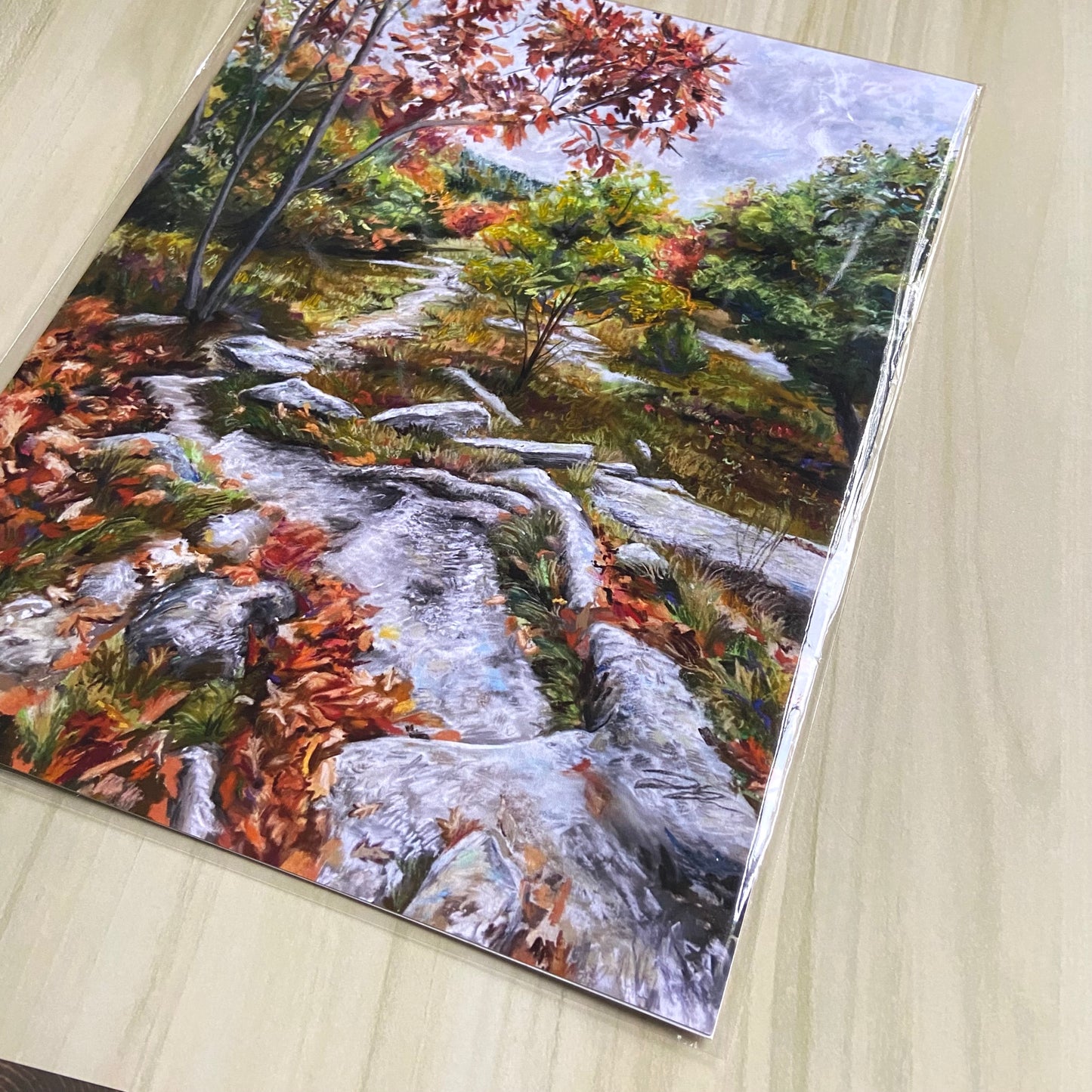 "Looking Back: Mt. Rowe" Print, 8x10