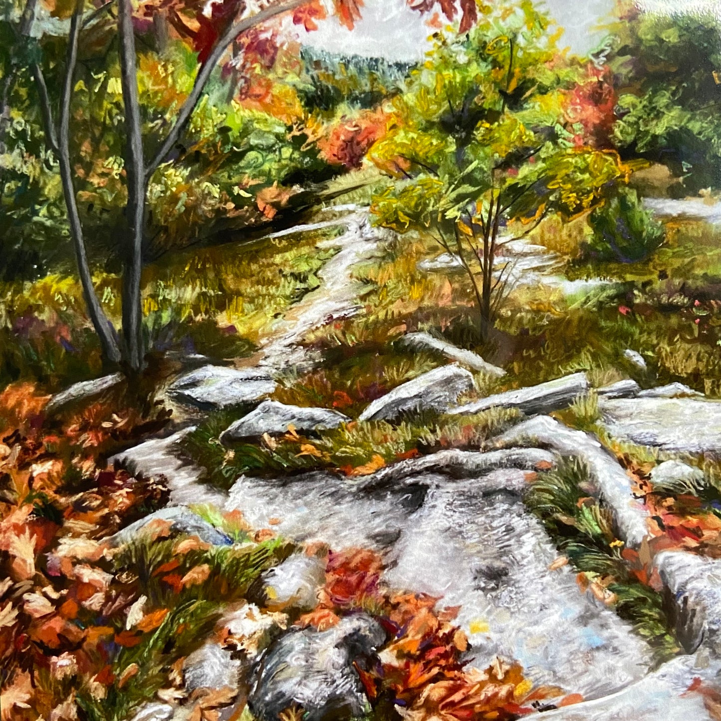 "Looking Back: Mt. Rowe" Print, 8x10