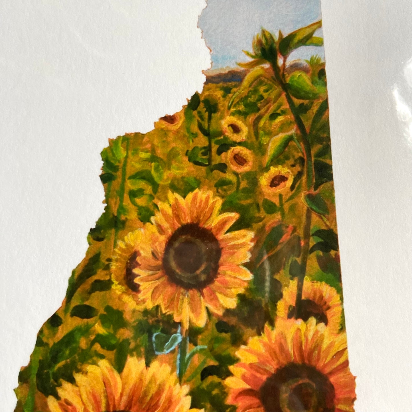 "New Hampshire III" Sunflower Print