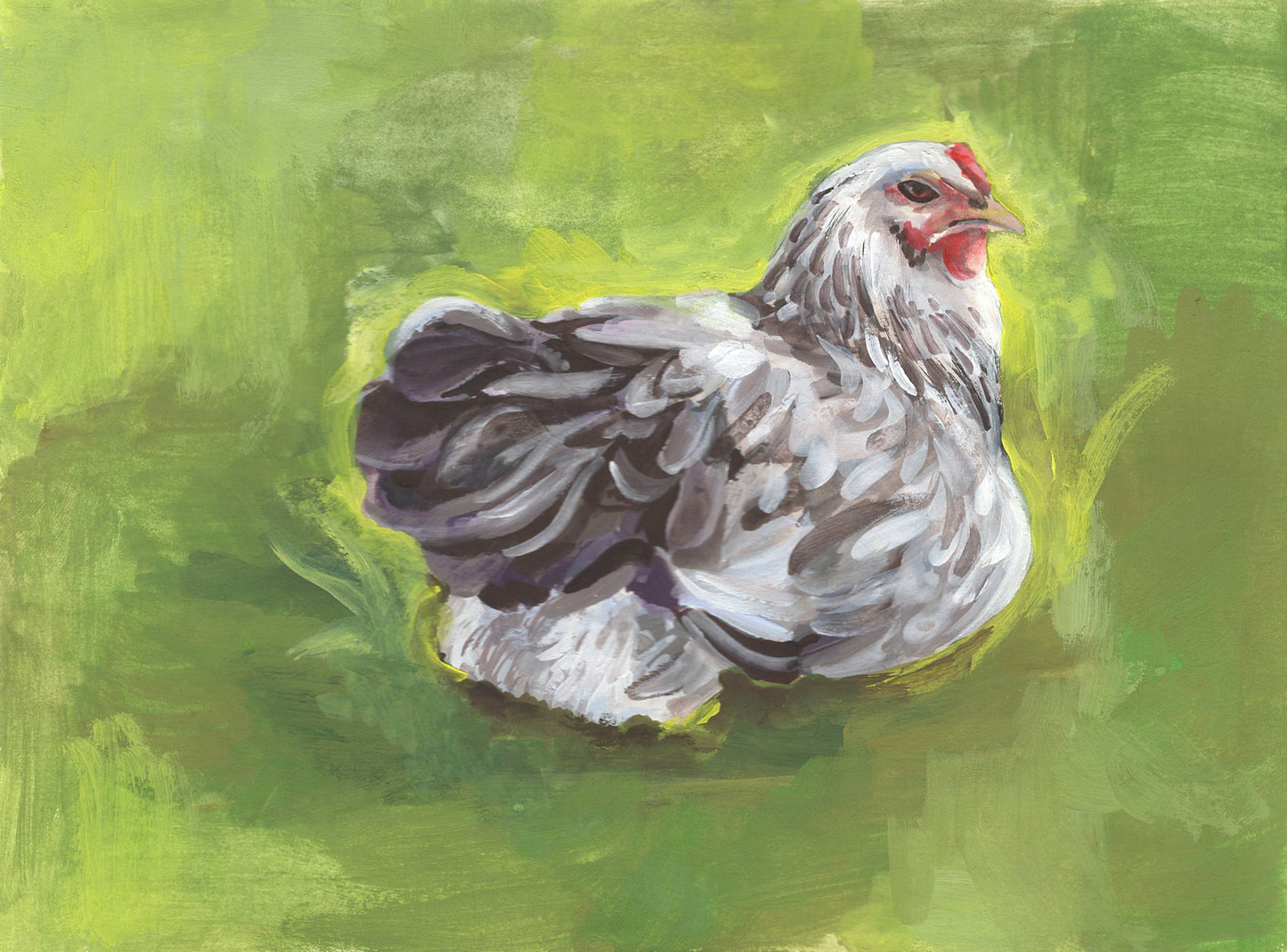 An Angry Squatting Hen Original Chicken Painting