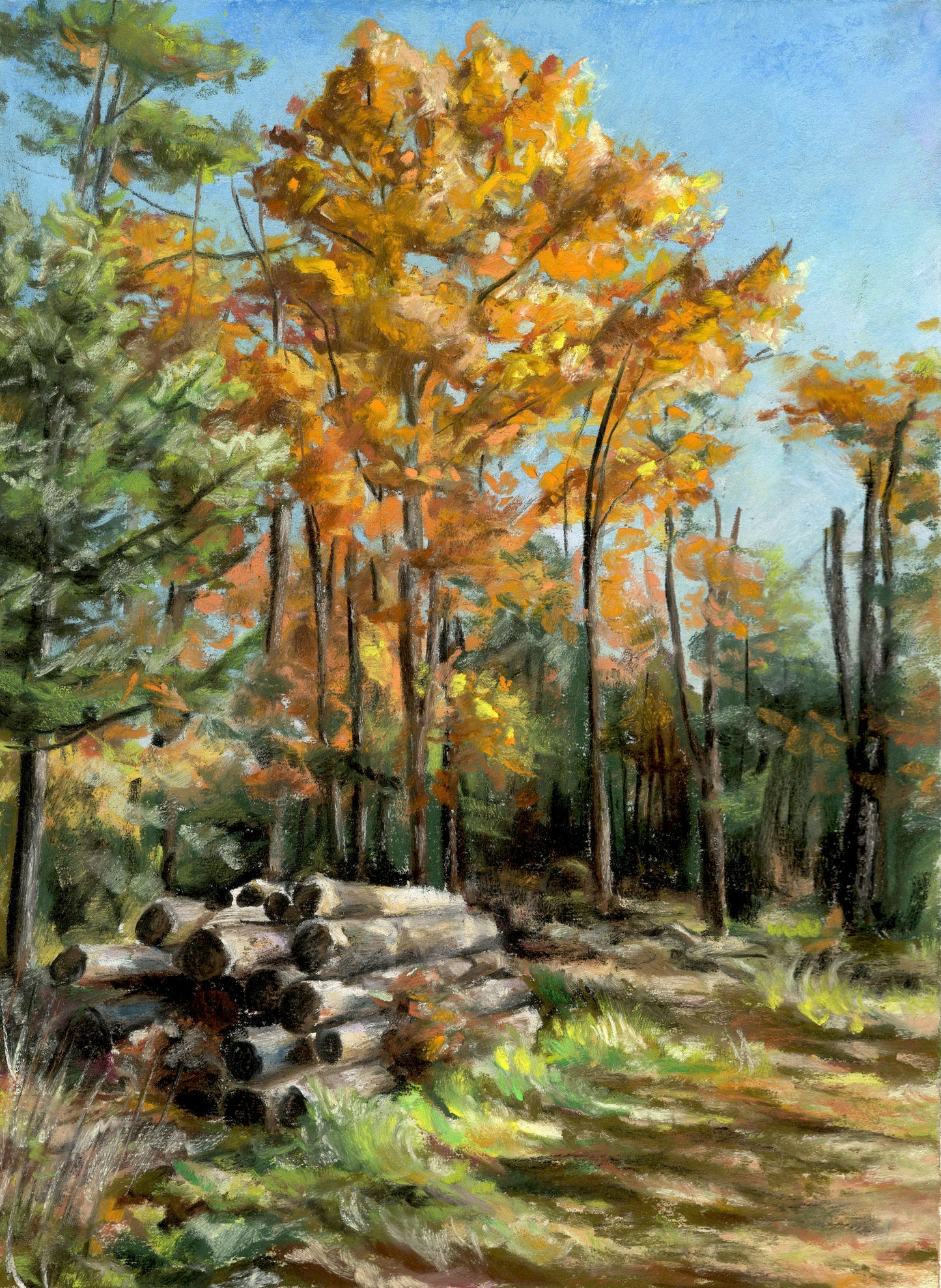 "Free Dry Wood, Pick Up Only" Original Pastel Painting