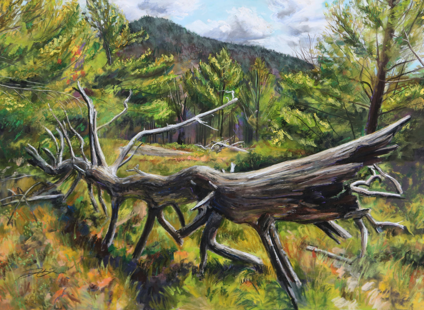 "If a Tree Falls" Print