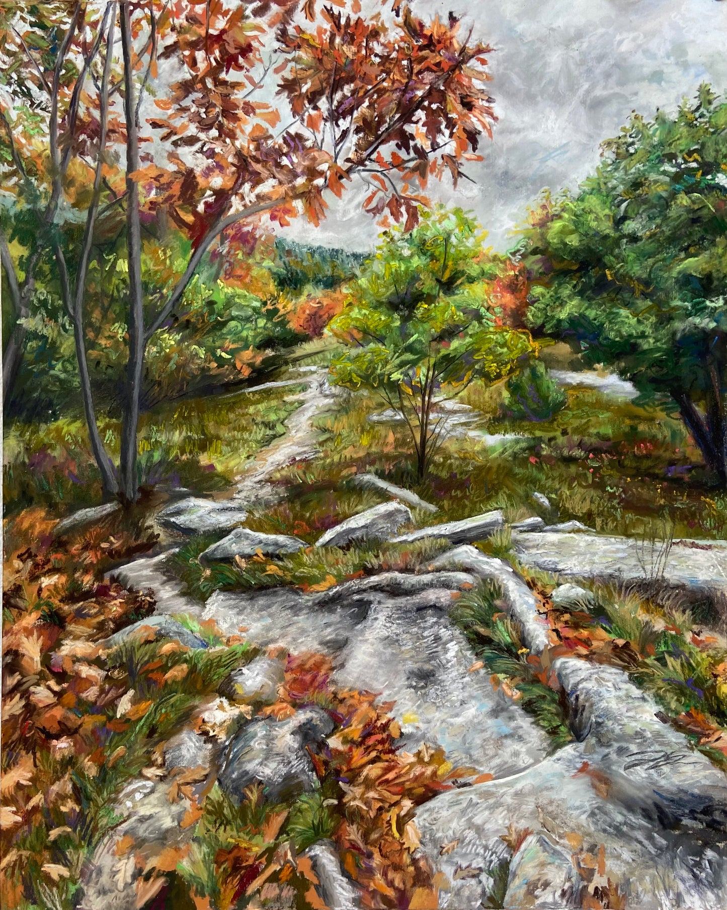"Looking Back: Mt. Rowe" Print, 8x10