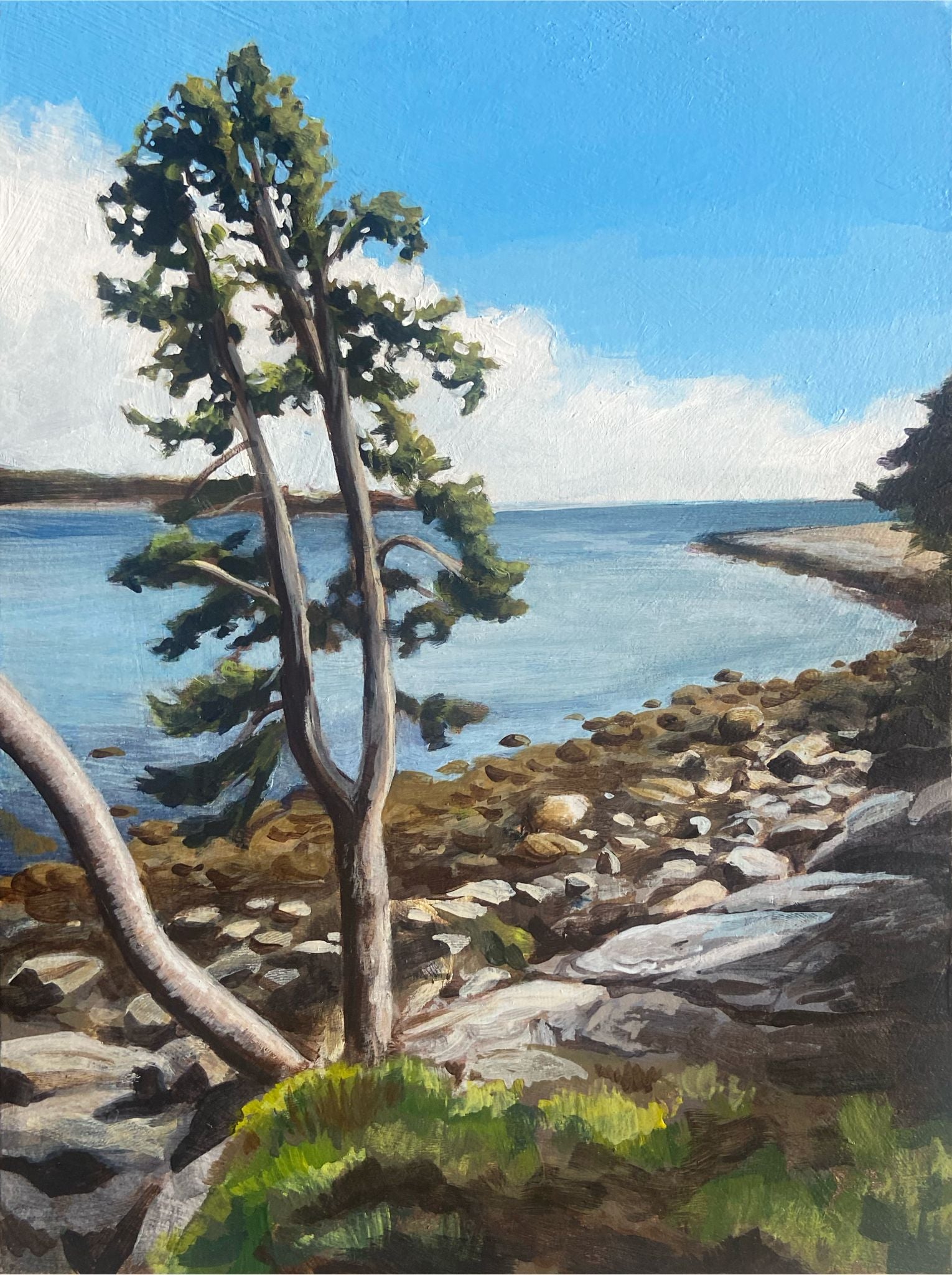 A colorful, vertically-oriented painting of  tree by a rocky shoreline on a sunny day.