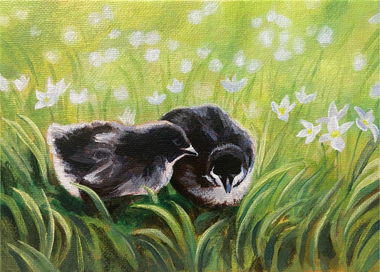 A painting of two black-and-white baby chicks in a green sunlit field of grass. There are bluet flowers nearby, giving cale (tiny) to the birds.