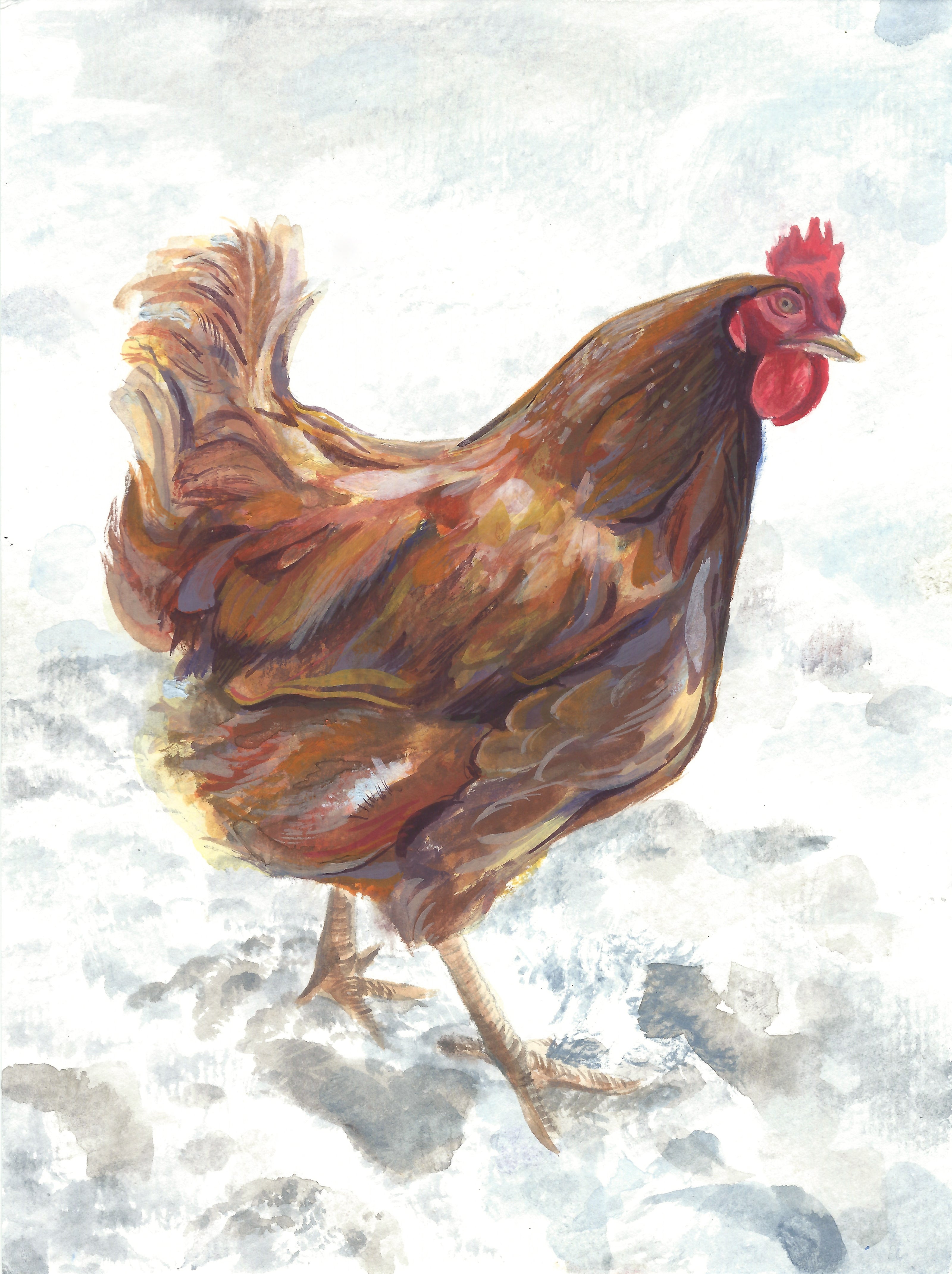 A painting of an inquisitive brown hen walking to the right side of the image, one eye cocked up at the viewer. The background has abstract marks implying snow.