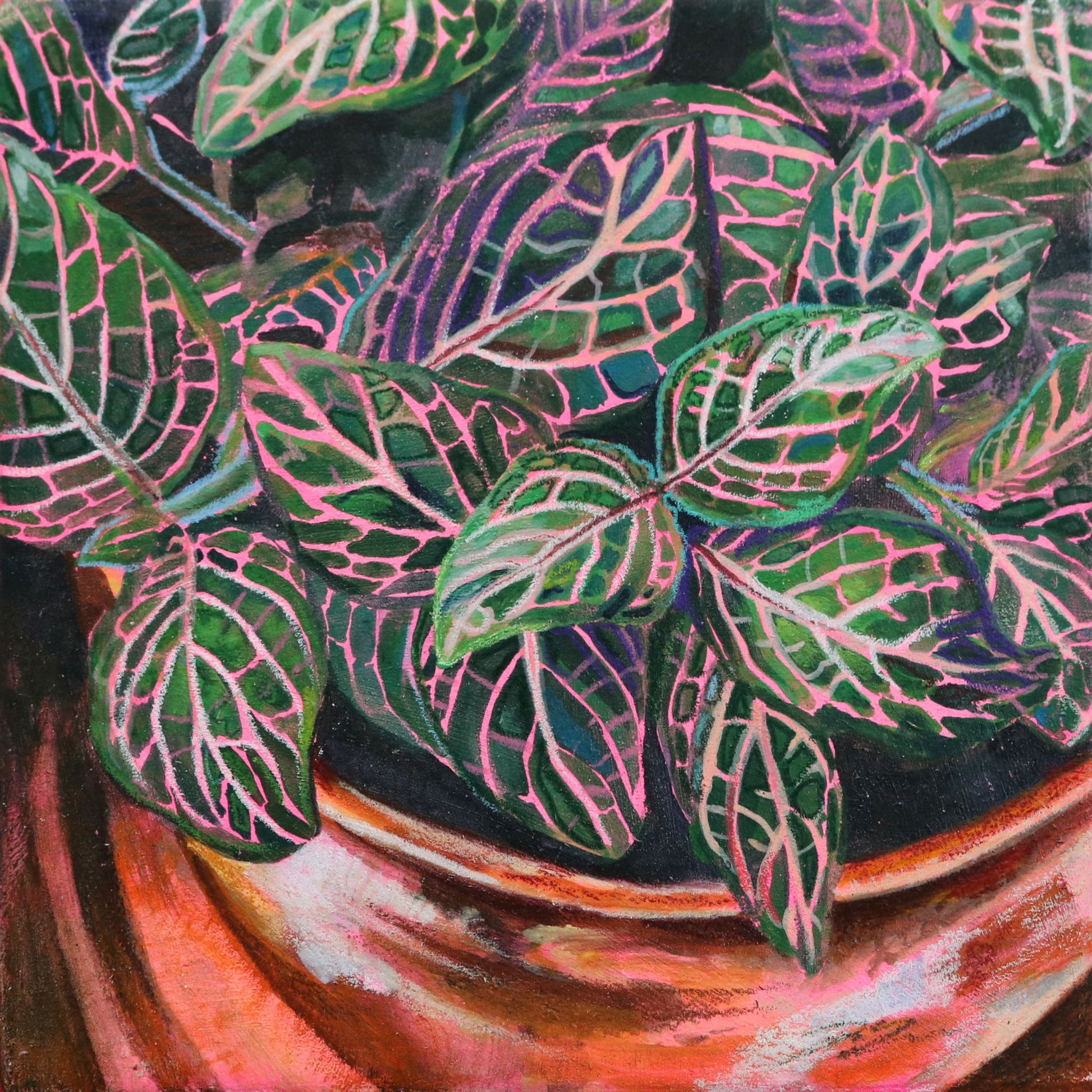 Mixed media painting "Embrace the Pink" by artist Jackie Hanson. A cropped view of a pink angel or nerve plant in an orange planter.