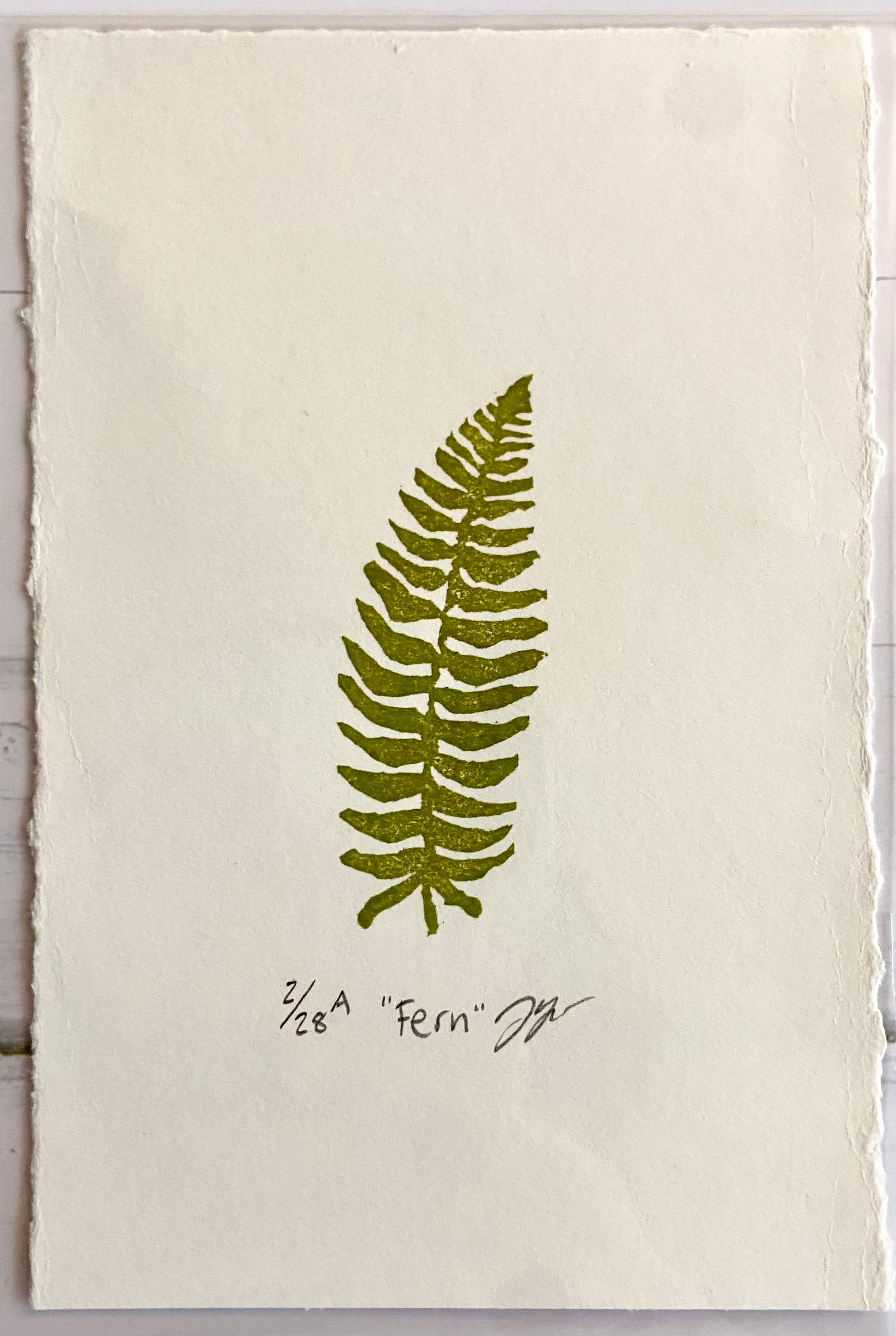 A small olive-green stamped image of a fern plant tilted slightly to the right. Eraser prints are made by carving pink erasers and stamping. The artwork is titled "Fern", signed, and editioned. 