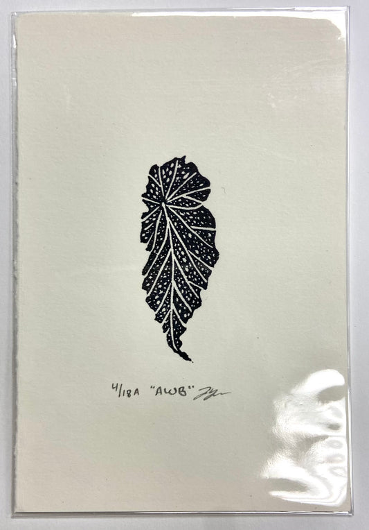 Eraser Print: Angel Winged Begonia