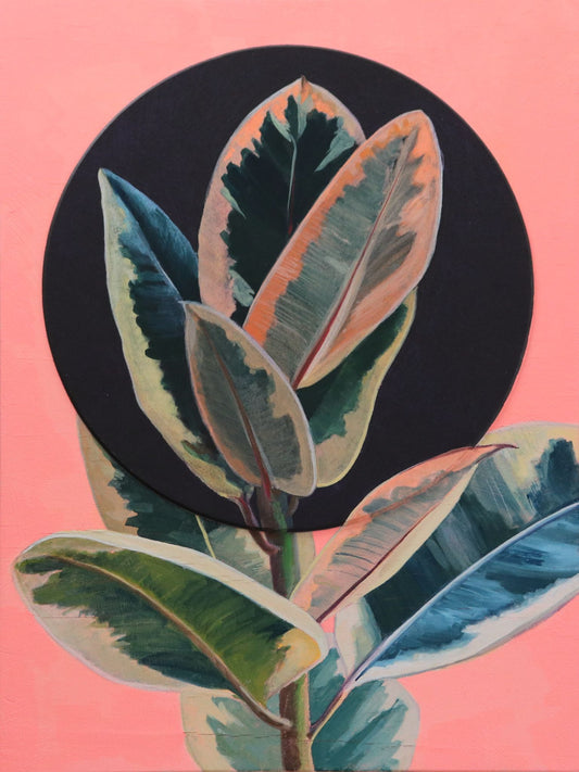 Mixed media gouache painting "Kathleen's Ficus" by artist Jackie Hanson. A side view of a pink and green ficus plant, with the topmost leaves encircled in a black halo. The rest of the background is a vibrant, flat pink. 