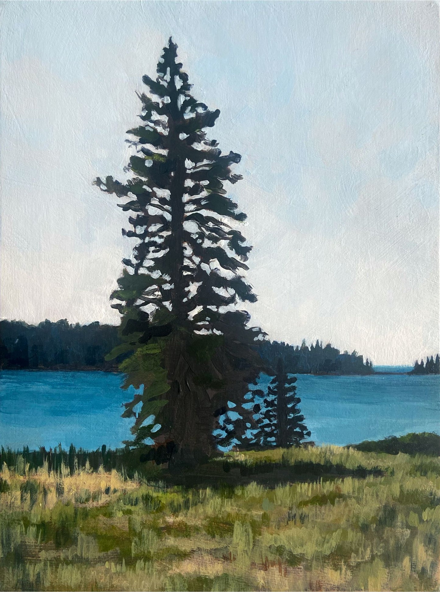 A vertically oriented acrylic landscape painting depicting a tall pine tree on a grassy field before an ocean bay. 