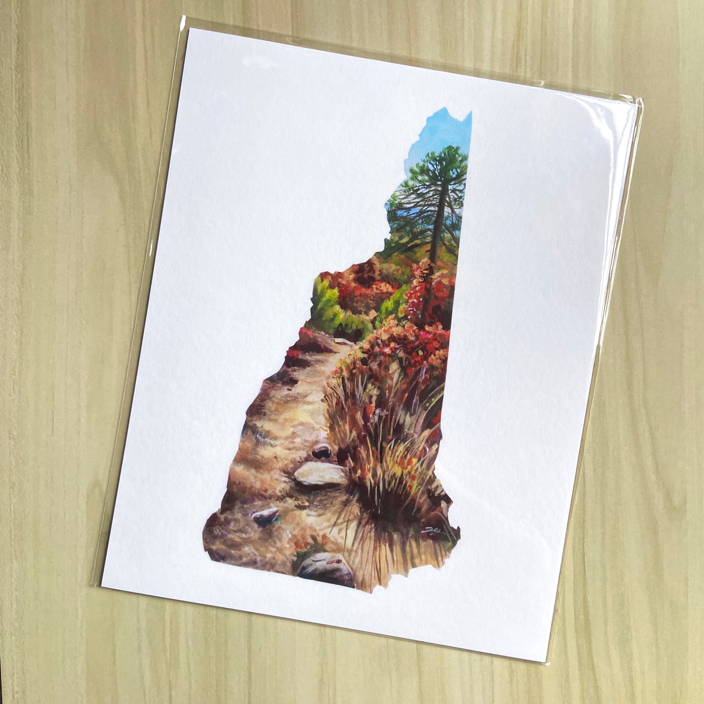 An art print of a nature trail in the shape of New Hampshire. Inside the map outline, a dirt path leads to a pine tree and other brush and forest in fall foliage colors. It is a sunny day with blue sky. Outside the state's shape is page white.