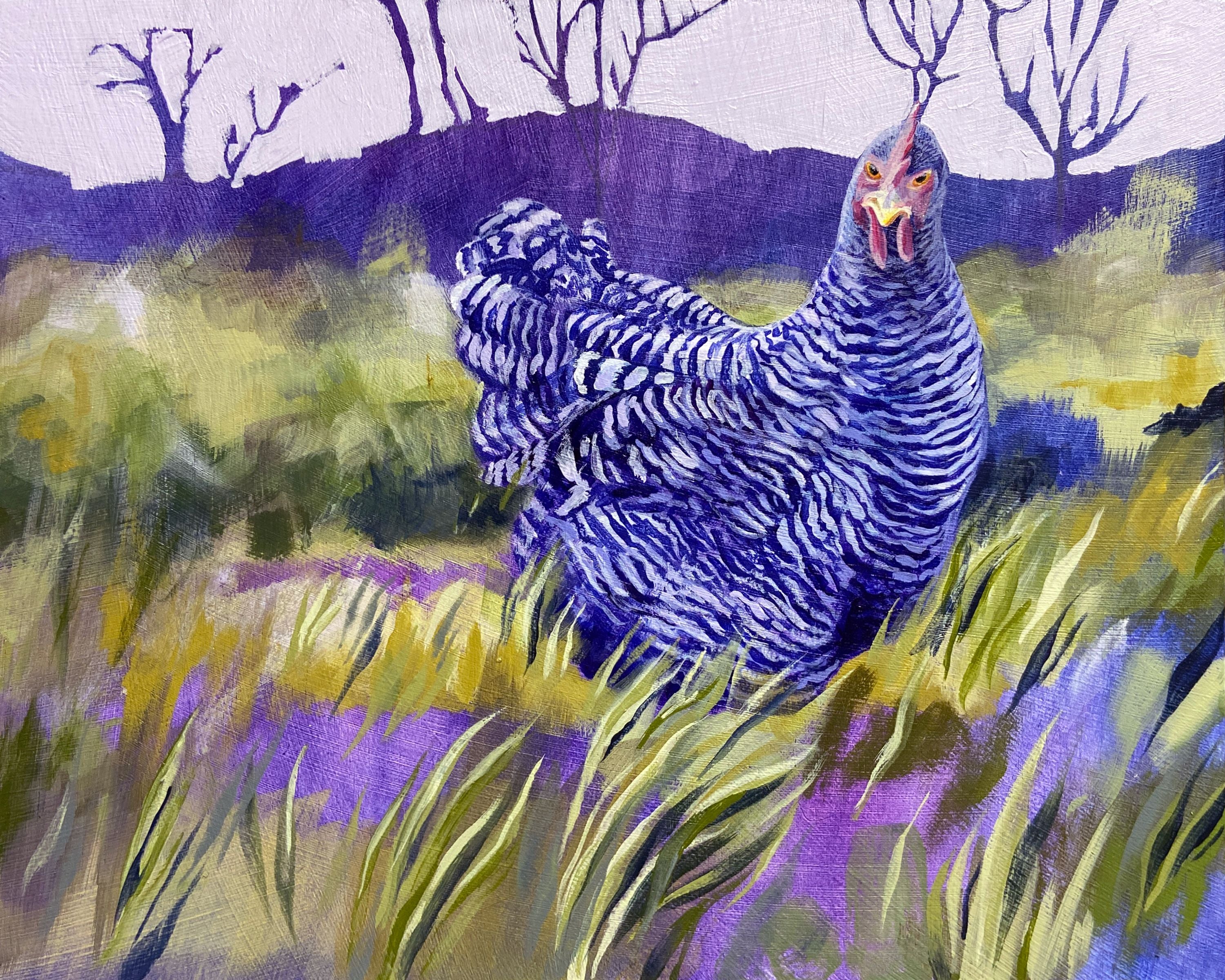 A purple and green painting of a sassy barred rock hen, eyeing the viewer from a grassy field. 
