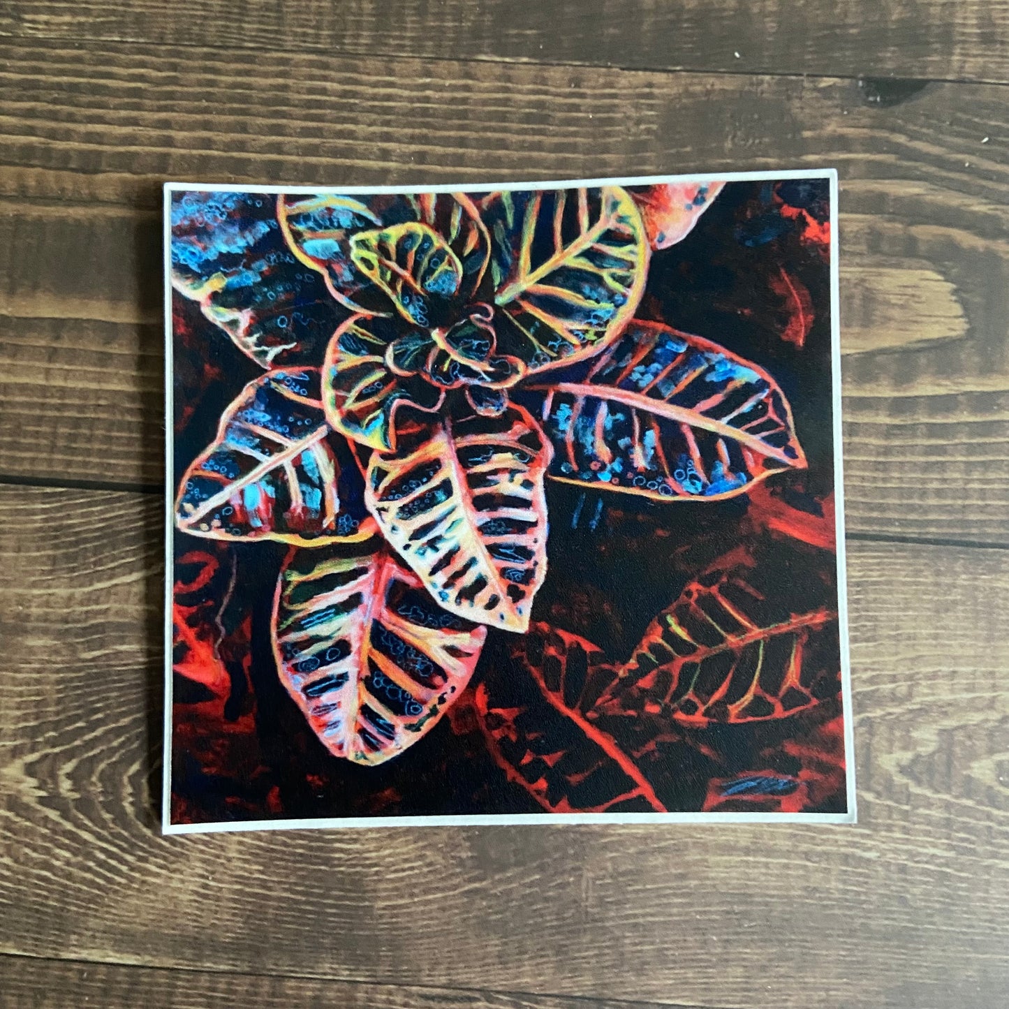 A square sticker sitting on a wooden surface. The sticker shows a painting of a variegated croton houseplant with a dark background and vibrant primary colors. 