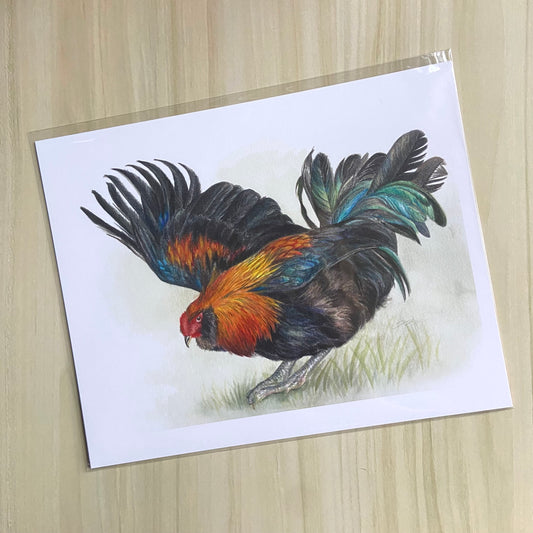 An art print of a beautiful rooster painting with watercolor. The bird is posed with one wing extended in front of a white background with grass at his feet. The chicken has black feathers, accented with vibrant orange, blue and teal colors. 