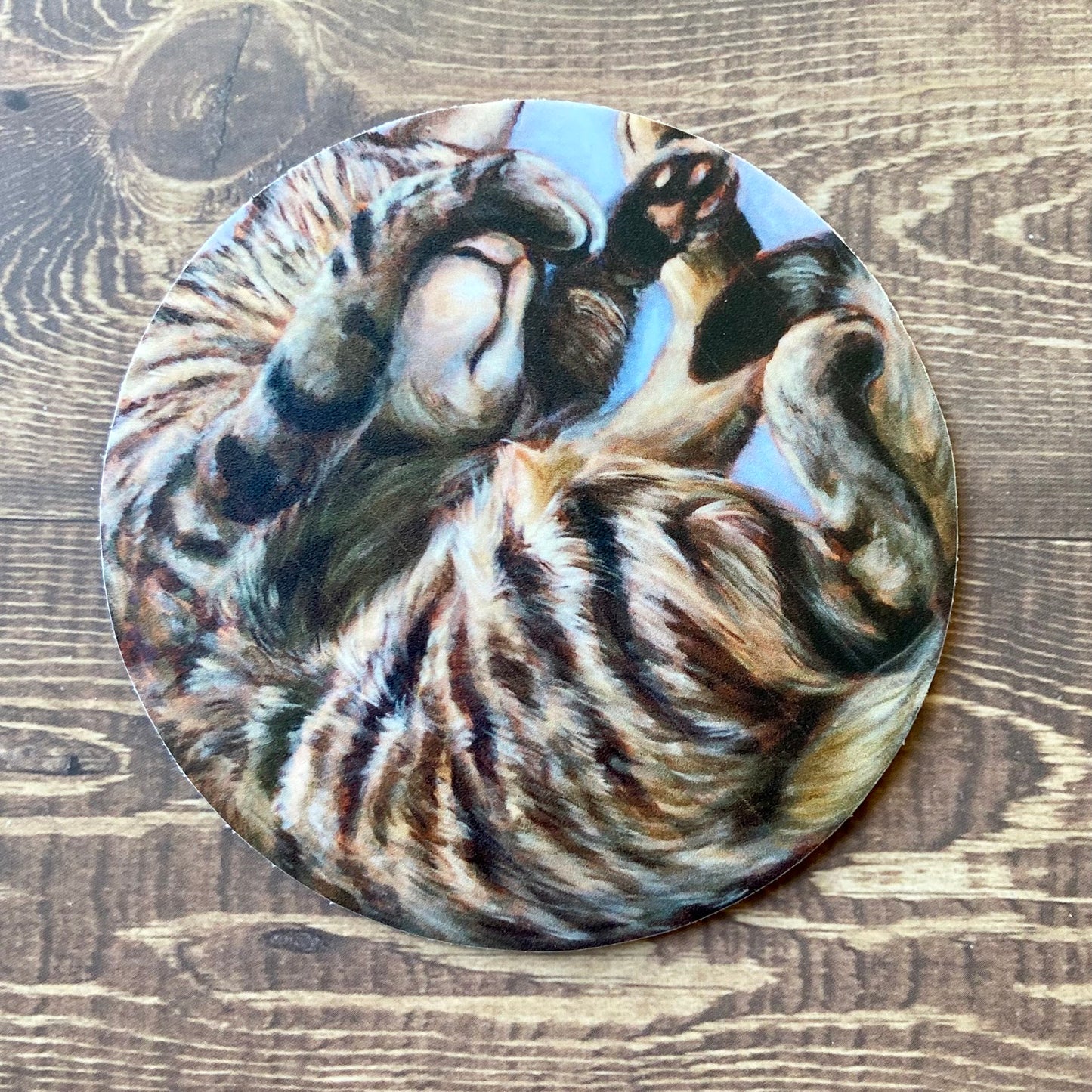 A sticker of my painting "Roundcat" depicting a gray/brown tabby cat curled in a circle sleeping. Her paw is covering her eyes so only her nose and mouth are showing. Her body curls around the edge of the sticker like it's a bed to sleep in.