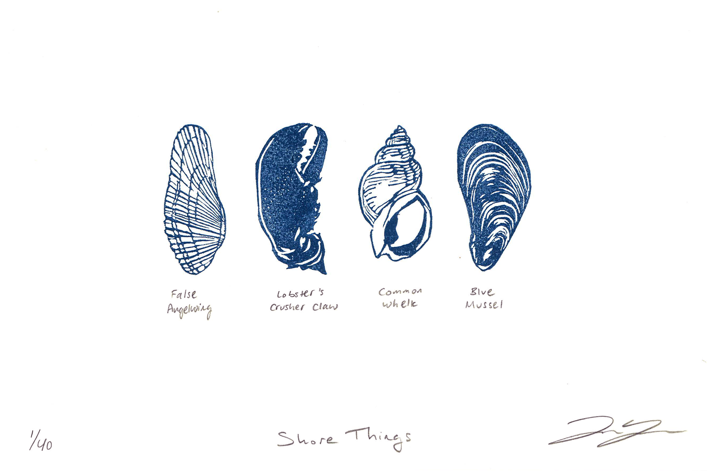 An art print of four shells in indigo-colored ink, labeled "False Angelwing, Lobster's Crusher Claw, Common Whelk, [and] Blue Mussel". The print is titled "Shore Things" and signed/editioned along the bottom.