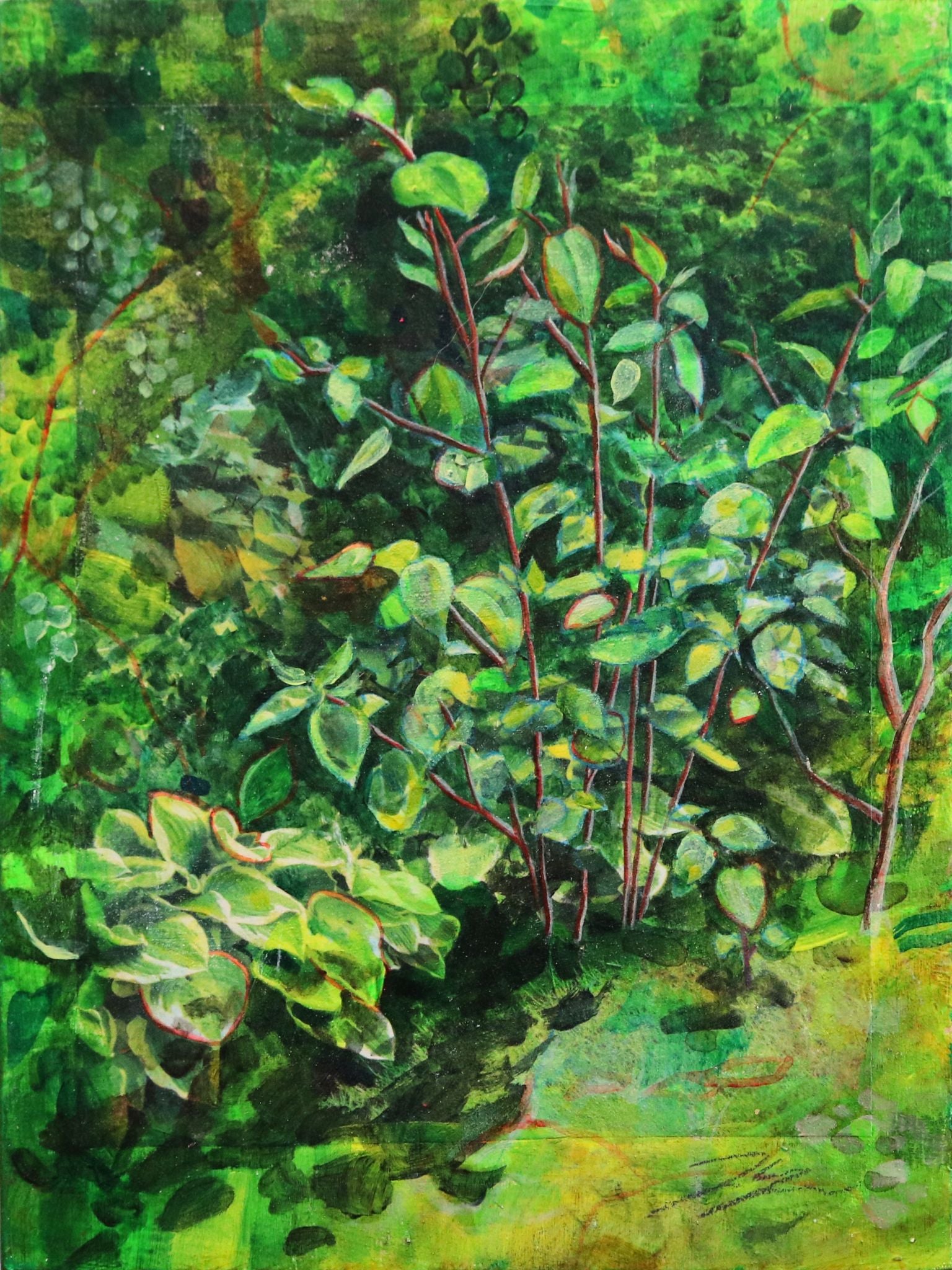 Mixed media painting Thicket by artist Jackie Hanson. Depicts a lush plant scene all in green, with collaged, painted and drawn elements.