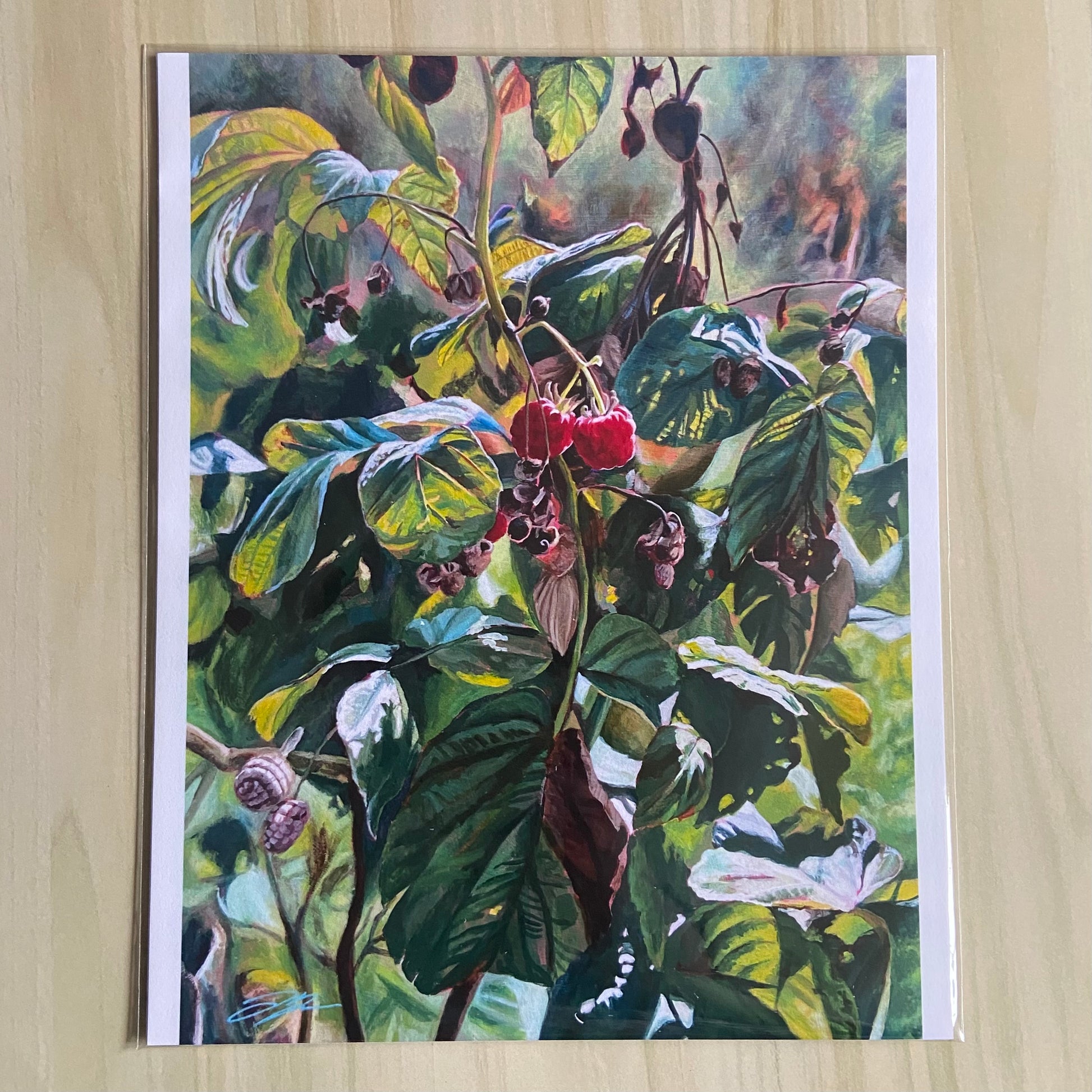 A print copy of a painting depicting a raspberry plant in sunlight, with two ripe berries at center. The print has narrow white borders at right and left and is sealed in a plastic sleeve. 