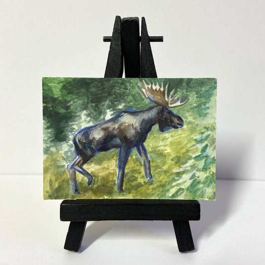 Moose ACEO painting