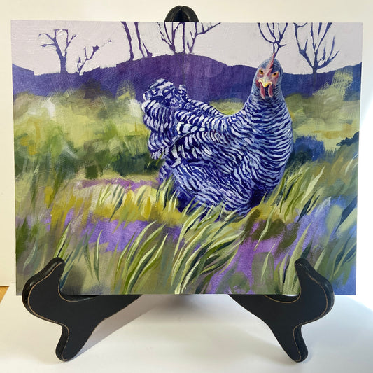 November 25 barred rock chicken