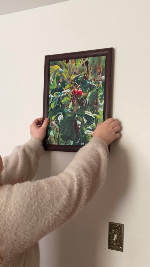 A short clip of a woman in a white sweater hanging a painting on an off-white wall. The painting is in a brown wooden frame and depicts a realistic raspberry plant.