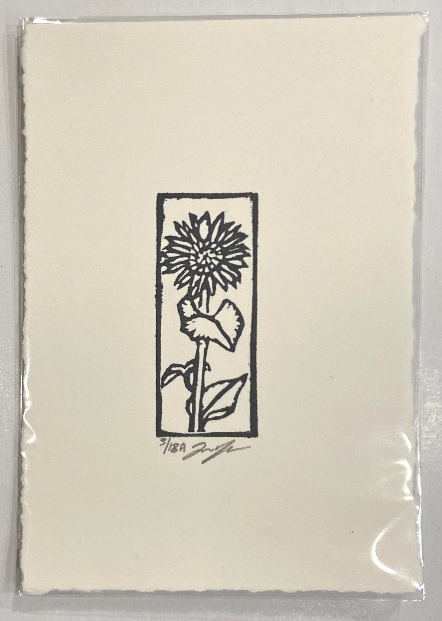Eraser Print: Sunflower