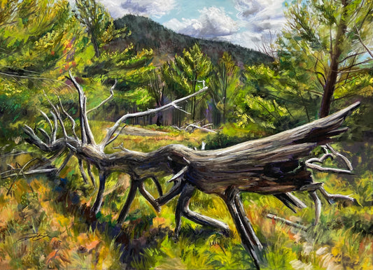 "If A Tree Falls" Original Pastel Painting