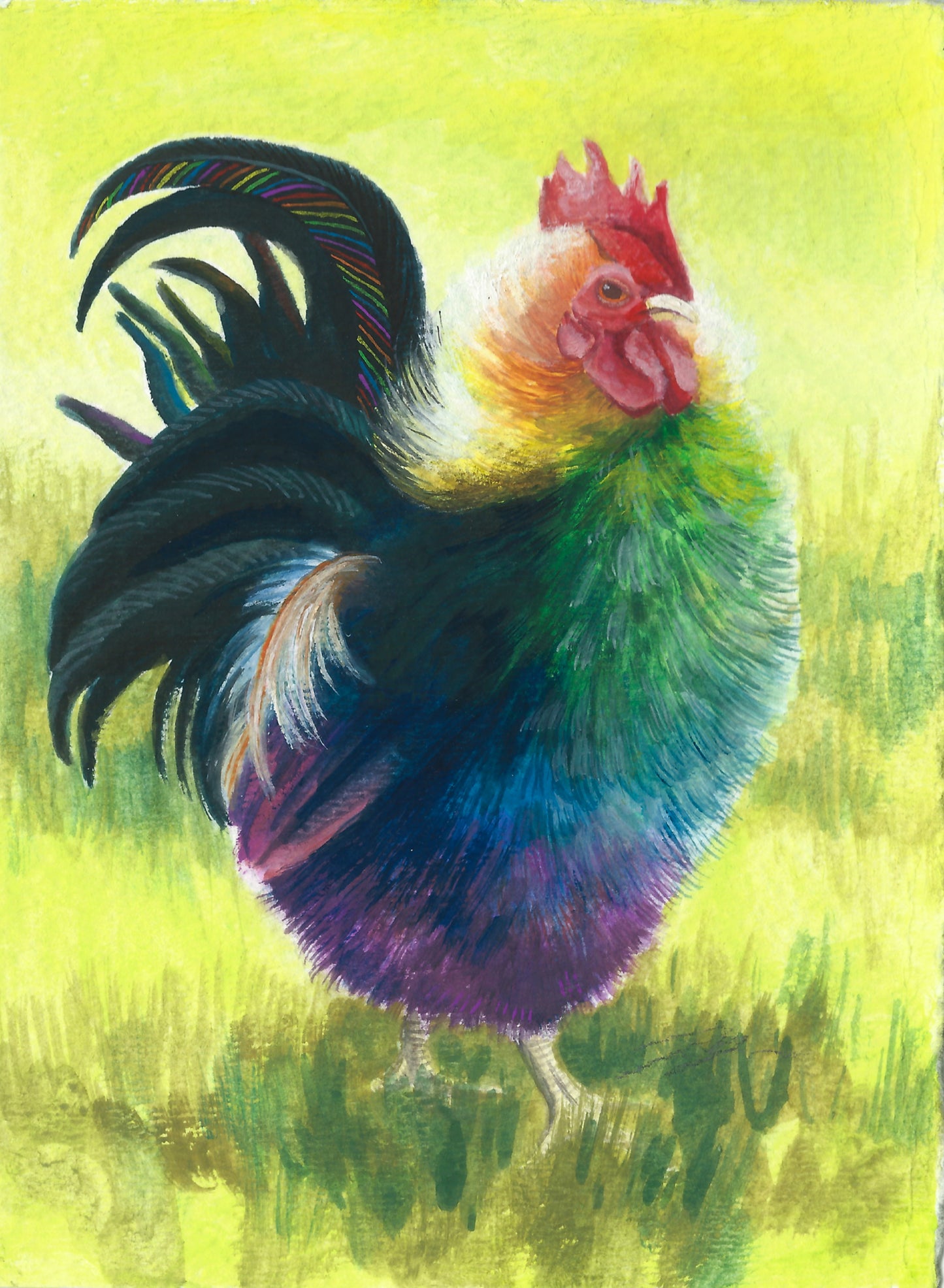 "Rainbow Rooster: The Fluffy One" Original