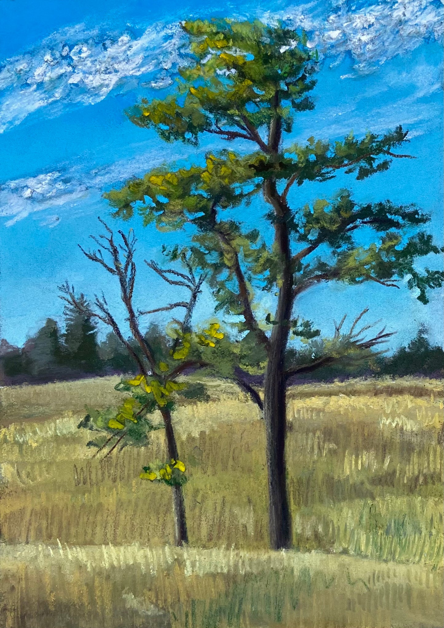 "Tree 106" Original Pastel Painting